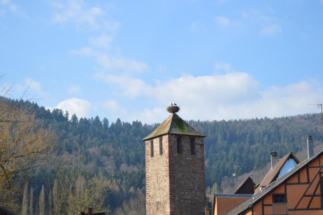 Coeur D'Alsace Διαμέρισμα Kaysersberg-Vignoble Εξωτερικό φωτογραφία